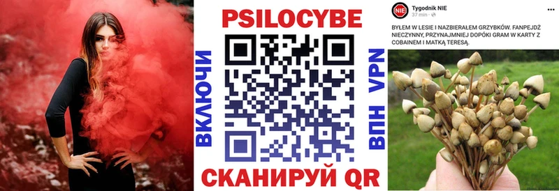 Галлюциногенные грибы MAGIC MUSHROOMS Суджа